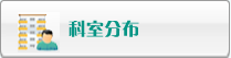 黄片片插插